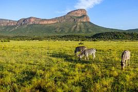 Waterberg, Afrique du Sud