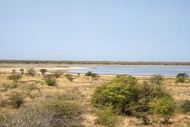 Réserve de Guembeul, Sénégal