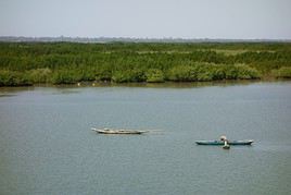 Fleuve Casamance, Sénégal