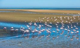 Walvis Bay, Namibie