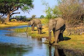 Caprivi, Namibie