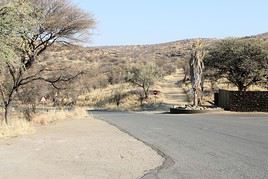 Réserve de Daan Viljoen, Namibie