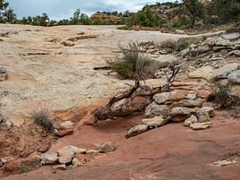 Canyons of the Ancients, Colorado, États-Unis