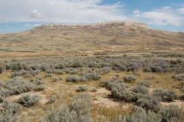 Fossil Butte National Monument, Wyoming, États-Unis