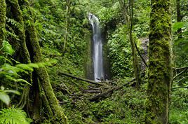 Parc national La Amistad, Costa Rica