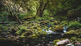 Petite Amazonie des Pyr&eacute;n&eacute;es, Hautes-Pyr&eacute;n&eacute;es, France