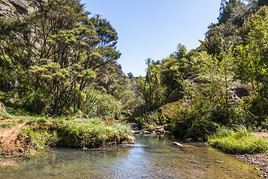 Monts Waitakere, Nouvelle-Z&eacute;lande