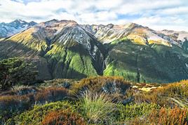 Parc nationl d'Arthur's Pass, Nouvelle-Z&eacute;lande