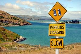 P&eacute;ninsule d'Otago, Nouvelle-Z&eacute;lande