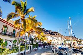 Mogan, Canaries
