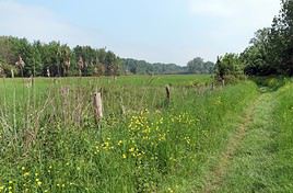 Plaine de Sorques, Seine-et-Marne, France