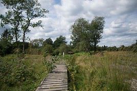 R&eacute;serve naturelle des Hautes Fagnes, Belgique