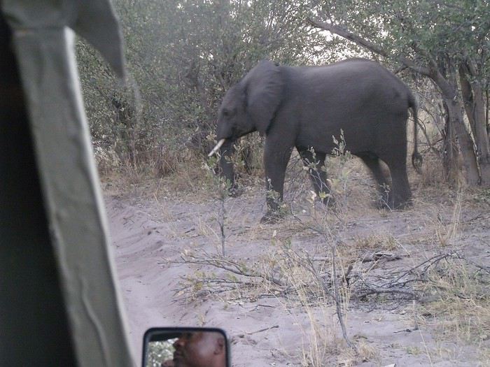 Carnet de voyage au Botswana en Juillet*Août2015  1440231365-NPejOcLnmrKBtJu