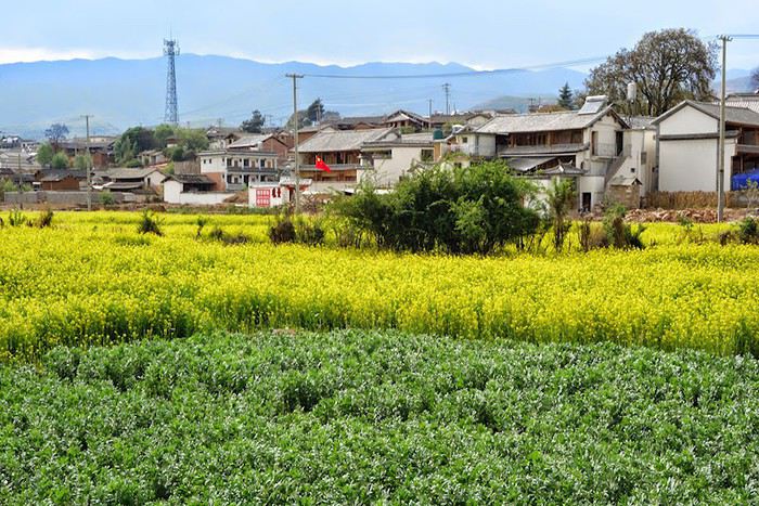 visite du village de Shaxi province du Yunnan en Chine 1513086111-uTZmxbytNX88Fbk