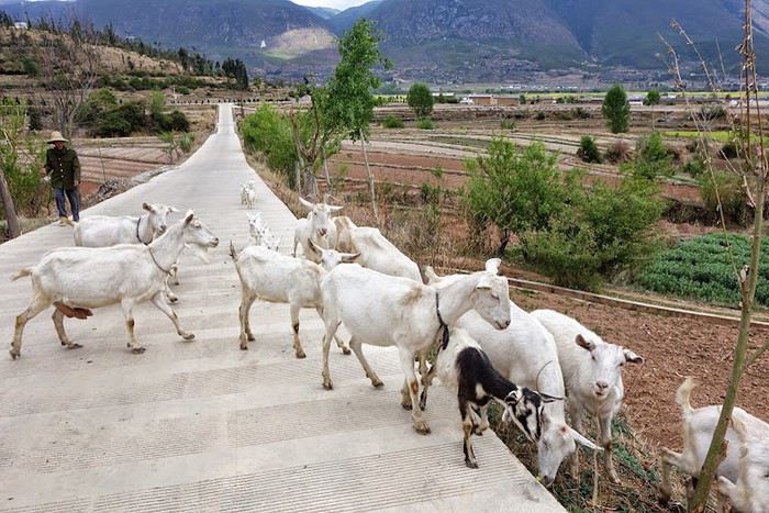 visite du village de Shaxi province du Yunnan en Chine 1513091039-q0DjVRFz9v6ZUuD