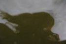 EC