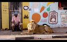 Diwalidurban