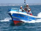 Drakkarsboat