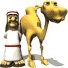 YV