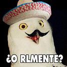 PO