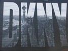 Ludonyc