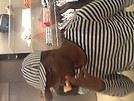 HO