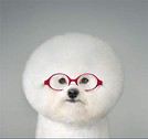 BA