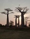 LA