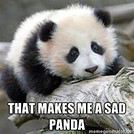 HommePanda