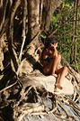 Mayanah