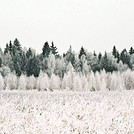 Marion1882