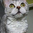 MO