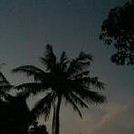 FL