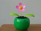 VWflower33