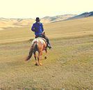 Wilyam75