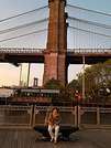 Brooklyn974