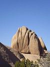 SA