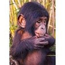 MA
