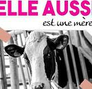 Fviallefond