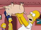 SpiderPig