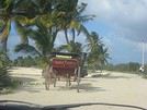TI
