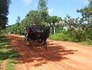 Mekongviet