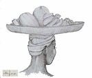 AN