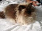 Boutchou67