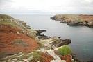 Lucyeole