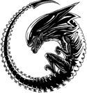 SP