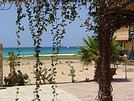 Baleina