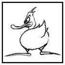 Wildduck