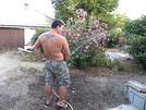 Corbo31