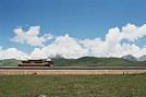 ZO